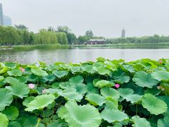-西海子公园
