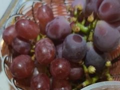 -镇江龙·火锅串串(武侯祠店)