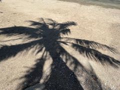 -那琴半岛地质海洋公园