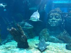 -暹罗海洋世界