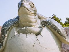 -广东惠东海龟国家级自然保护区