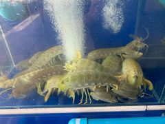 -泰华海鲜中餐厅(普吉镇店)