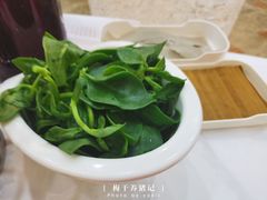-友谊肥牛