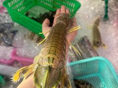 -拉威海鲜市场