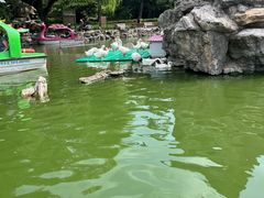 -团结湖公园