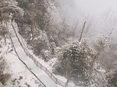 -瓦屋山景区