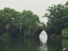 -家烧面馆【南山路知名经典面食】
