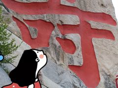 -崂山仰口游览区