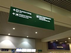-谢列梅捷沃国际机场