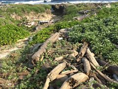 -龙坑生态保护区