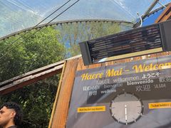 -怀托摩萤火虫洞