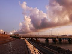 -上海吴淞炮台湾国家湿地公园