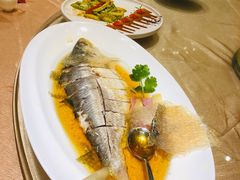 酒香鲥鱼-御龙宴