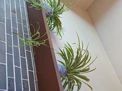 -唐师傅湘西名菜馆(武陵路店)