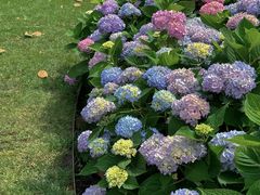 -常州古运河南大街文化旅游区-人民公园