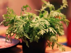 -钱家·乔老爷铜锅涮肉(曹路宝龙店)