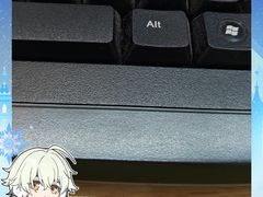 -会江钓鱼钓虾烧烤场
