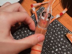 -月龍吟(朝龙汇店)