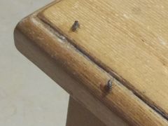 -龙达温泉生态城