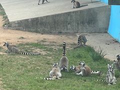 -秦皇岛野生动物园