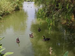 -长兴太湖图影湿地文化园