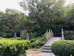 -深圳国际园林花卉博览园