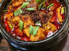 -陈麻婆豆腐(旗舰店)