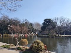 -泰州凤城河风景区-泰山公园