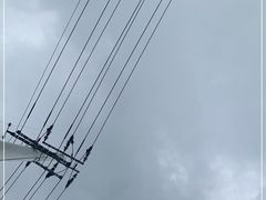 -绿波廊七号(豫园新路店)