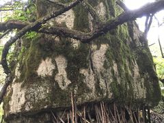 -山王坪喀斯特国家生态公园