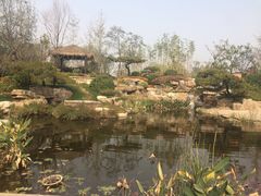 -武清南湖绿博园