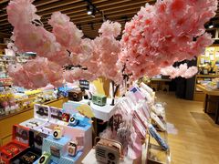 -九木杂物社(大东方百货店)