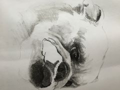-黑骏画室·深圳美术中高考黄埔军校
