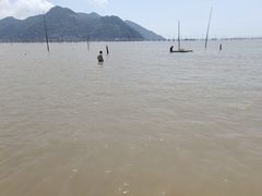 -北岐滩涂