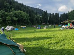 -武陵山森林公园
