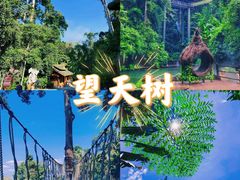 -中国科学院西双版纳热带植物园