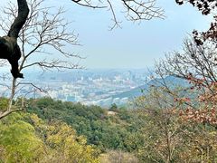 -灵顺寺