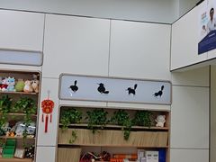 -凯瑞希宠物医院·狂犬免疫·微创·皮肤科