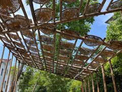 -雅鲁激流探险漂流