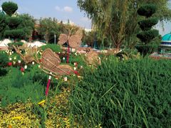 -青岛方特梦幻王国