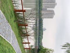-黄兴公园