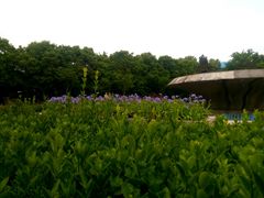 -西北农林科技大学(北校区)