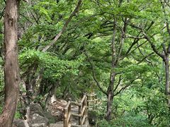 -黑龙潭风景区