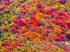 -沉浸北京·团建旅行·密室剧本杀·年会会议轰趴拓展