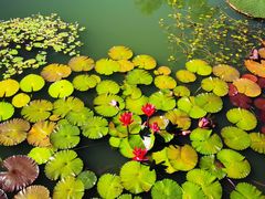 -国家植物园南园