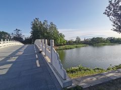 -大兴滨河森林公园