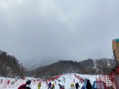 -亚布力新体委滑雪场
