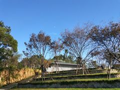 -飞凤山奥体公园