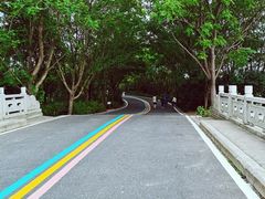 -同里国家湿地公园