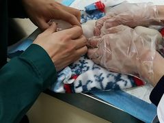 -仁华宠物医院(青羊店)